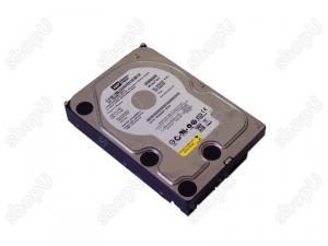 Western digital 500gb