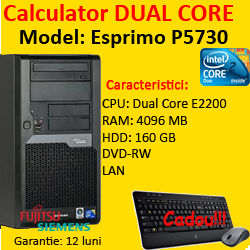 Fujitsu Esprimo P5730, Dual Core E2200, 2.0Ghz, 4Gb, 160Gb, DVD-RW