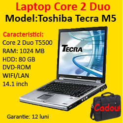 Toshiba Tecra M5, Intel Core 2 Duo T5500, 1.66Ghz, 1024Mb, 80Gb HDD, DVD-ROM