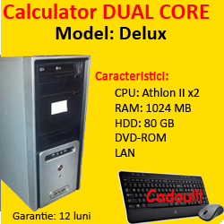 Calculator Delux Tower, AMD Athlon II x2, 3.0Ghz, 1Gb, DDR2, 80Gb, DVD-ROM