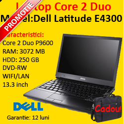 PROMO: Notebook Dell Latitude E4300, Core 2 Duo P9600, 250Gb, 3GB, DVD-RW