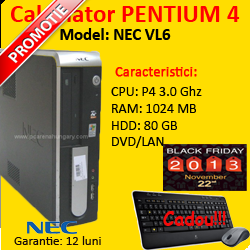 Computer Ieftin NEC Powermate VL6 Pentium, 4 3.0 Ghz, 1024 MB RAM, 80 GB HDD, DVD