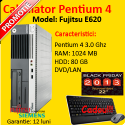 OFERTA: Fujitsu Scenic E620, PENTIUM 4, 3.0 GHZ, 1024 MB RAM, 80 GB HDD, DVD-ROM