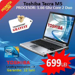 Toshiba Tecra M5, Intel Core 2 Duo T5500, 1.66Ghz, 1024Mb, 80Gb HDD, 14 inci, Fara optic