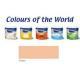 VOPSEA LAVABILA DULUX 2,5L - PAPAYA