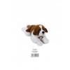 Plus berny saint bernard - ncr742174