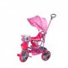 Tricicleta copii cu copertina dhs 107a2 roz/rosu -