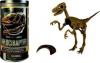 Paleontologie - scheletul de velociraptor -