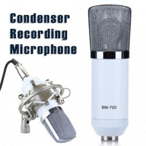 Microfon profesional pentru studio si inregistrari DL700