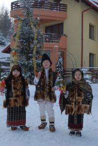 Cazare pensiuni bucovina