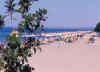 Sejur grecia - halkidiki, gerakina beach 3*