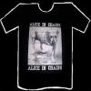 Alice in chains alice in chains