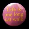 Insigna mica LIFE IS ONE LONG CAT WALK