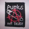 Punks not dead anarchy si ac de