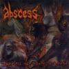 Abscess through the cracks of death (lichidare stoc)