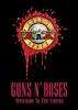 Guns n roses welcome to the videos (dvd)