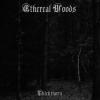 Ethereal woods thickthorn (supernal music)