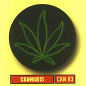 CAN 03  Cannabis-1011