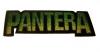 Patch de lipit PANTERA Logo Verde