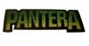 Patch de lipit pantera logo verde