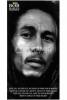 Bob marley (get up, stand up)