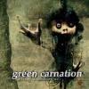 Green carnation- the quiet offspring