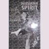 Nirvana spirit