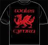 Wales dragon (tr/cel/15)