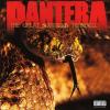 Pantera the great southern trendkill