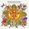 Tears for fears &ndash. greatest hits