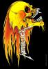Steag metallica - flames &amp. skull hfl311