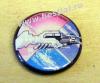 Insigna mica pink floyd wish you were here (vkg)