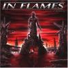 In flames colony