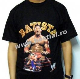 Wrestling batista