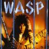 Wasp inside the electric circus