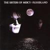 SISTERS OF MERCY Floodland