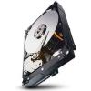 Seagate hdd server constellation es/ 3.5' / 1tb /