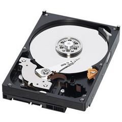 Hard disk Western Digital WD2500AAJS, 250 GB, SATA2
