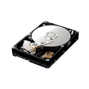 Hard disk Samsung HD321HJ, 320GB, SATA2