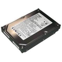 Hard disk Seagate ST31000333AS, 1TB, SATA2
