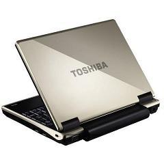 Notebook Toshiba NB100-11B, Atom N270, 1.6GHz, 1GB, 120GB, XP Home Edition, PLL10E-011025R3