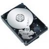 Seagate barracuda, 160gb -