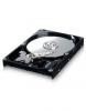 Hard disk samsung hd161hj,