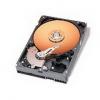 Western digital 250gb -