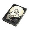 Hard disk seagate st3250310as, 250 gb, sata2