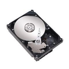 Hard disk Maxtor STM3160215AS, 160 GB, SATA2