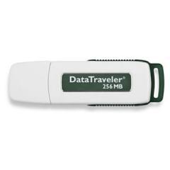 Stick USB Kingston Data Traveler 256MB
