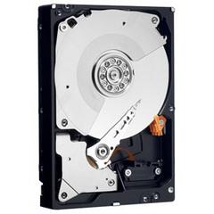 Hard disk Western Digital WD7501AALS, 750 GB, SATA2
