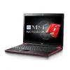 Notebook MSI GX620X-060EU, Core 2 Duo P8400, 2.26GHz, 4GB, 320GB, FreeDOS, GX620X-060EU