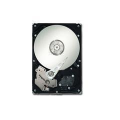 Hard disk Seagate ST3750330AS, 750 GB, SATA2